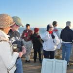 Cambria_0186 (November 05, 2011)